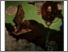 [thumbnail of The Big Foldy Painting of Death]