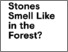 [thumbnail of What_Do_Stones_Smell_Like_in_the_Forest]