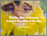[thumbnail of Dominique Paul_Déclin des animaux  = Animal Population Decline]