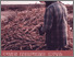 [thumbnail of CFR_Vol.3]